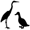Feature img