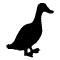 Feature img