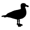 Feature img