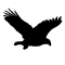 Feature img