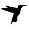 Feature img