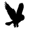 Feature img