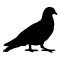 Feature img