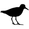 Feature img