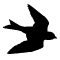 Feature img