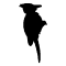 Feature img